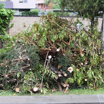 Green Waste